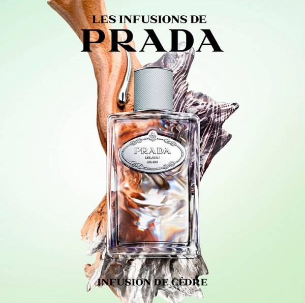PRADA INFUSION DE CEDRE EDP 100ML